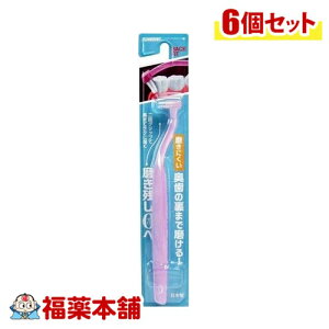 NAfg obNtBbgpuVPK×6 [䂤pPbgE]