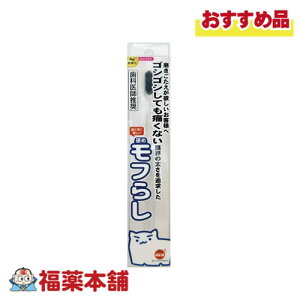 IWPA d t炵 RpNg  [䂤pPbgE]