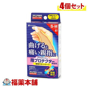 ogEB wveN^[ ewp S-MTCY 6×4 [䂤pPbgE]