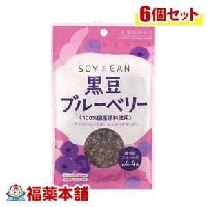 SOYEANu[x[40g×6 [䂤pPbgE] 哤 Aς yɐۂ
