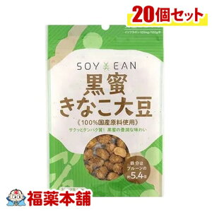 SOYEANȂ哤40g×20 [zցE] 哤 Aς yɐۂ
