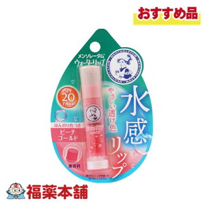 [g \[^ EH[^[bv Ft s[`S[h 4.5g [䂤pPbgE] ق̂F  UVJbg SPF20