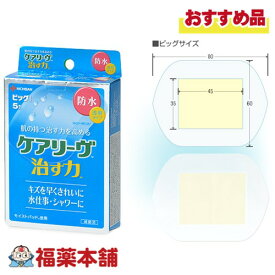 ニチバン ケアリーヴ 治す力 防水 ビッグサイズ 5枚入 [ゆうパケット・送料無料] 透明タイプ 水仕事 シャワー