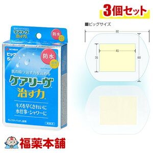 j`o PA[  h rbOTCY 5×3 [䂤pPbgE] ^Cv d V[