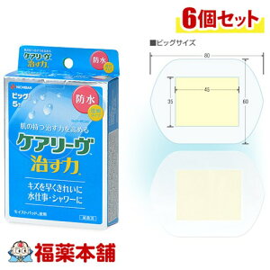 j`o PA[  h rbOTCY 5×6 [䂤pPbgE] ^Cv d V[