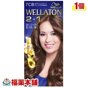 �E�G���g�[��2�{1 �t��^�C�v 7CB [��z�ցE��������]