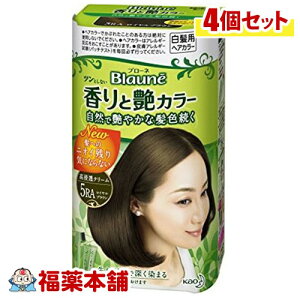 u[l ƉJ[ N[ 5RA×4 [zցE]