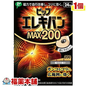 sbvGLo MAX200 (24)  s̉P sbv [䂤pPbgE]