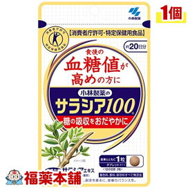 小林 サラシア100 60錠 [小林製薬の栄養補助食品] [ゆうパケット・送料無料]