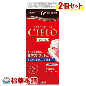 VGwAJ[EXN[6P×2 [zցE]