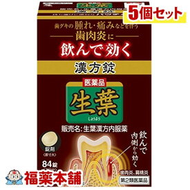 【第2類医薬品】生葉漢方錠(84錠)×5個 [宅配便・送料無料]