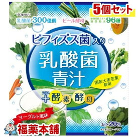 ビフィズス菌入り乳酸菌青汁(3GX20包)×5個 [宅配便・送料無料]