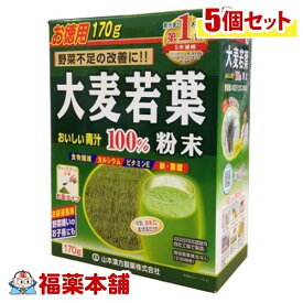 大麦若葉粉末100％ 計量タイプ(170g)×5個 [宅配便・送料無料]