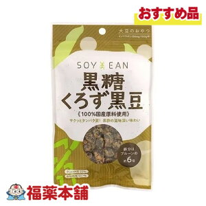 SOYEAN낸40g [䂤pPbgE] 哤 Aς yɐۂ