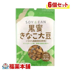 SOYEANȂ哤40g×6 [䂤pPbgE] 哤 Aς yɐۂ