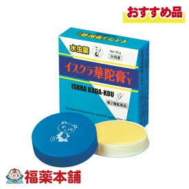 【第2類医薬品】イスクラ華陀膏Y 20g [ゆうパケット・送料無料]