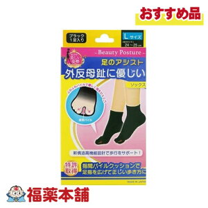 ̃AVXg OɗD\bNX ubN LTCY 1 [䂤pPbgE] TCY24?25cm wԃpCNbVŕsT|[g