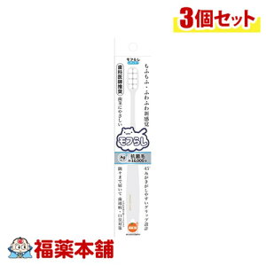 IWPA t炵(M[)×3 [䂤pPbgE] Ȉt nuV a L sɂ₳