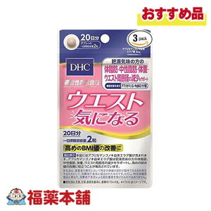 DHC EGXgCɂȂ 20 40 [䂤pPbgE]