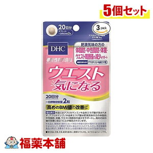 DHC EGXgCɂȂ 20 40×5 [䂤pPbgE]