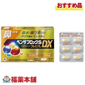 【第(2)類医薬品】アリナミン製薬 ベンザブロックSプレミアムDX 12錠入 「濫用注意」[ゆうパケット・送料無料] 総合かぜ薬 鼻水 鼻づまり のどの痛み くしゃみ