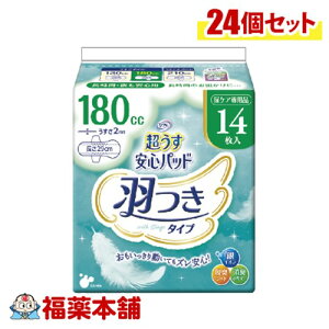 t Spbh H 180cc (񂹏i) 14×24 [zցE]