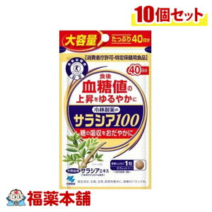 ѐ yیpHiz TVA100 (e) 120×10 [䂤pPbgE]