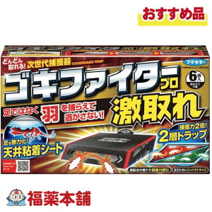 t}L[ SLt@C^[v  6 [zցE]