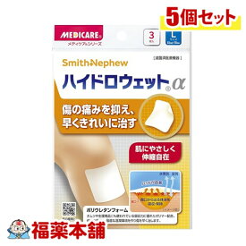メディケア ハイドロウェットα Lサイズ 3枚入×5個 [ゆうパケット・送料無料]
