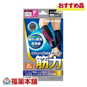 AtH[_XT|[^[ؗ͂ӂ͂t[TCY2 ^e[sO@\t [䂤pPbgE]