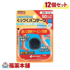 j`o ogEB of[W (50mm×4m(L) 1) EЂp X|[cpLk(^Cv) Ő؂×12 [zցE]