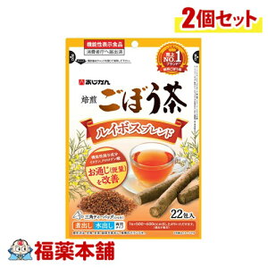  ڂ C{Xuh 22×2 [䂤pPbgE]