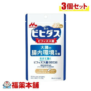 Xi rq_X ē͂ rtBYXBB536 30×3 [䂤pPbgE]