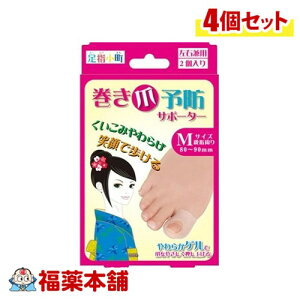 ܗ\hT|[^[ Ep MTCY2×4 [䂤pPbgE]