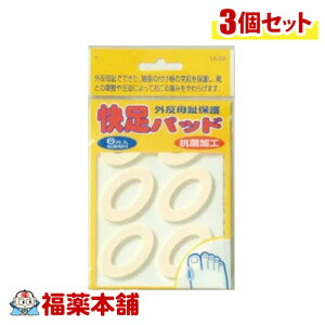 rbOErbg pbh Oی 6×3 [䂤pPbgE]