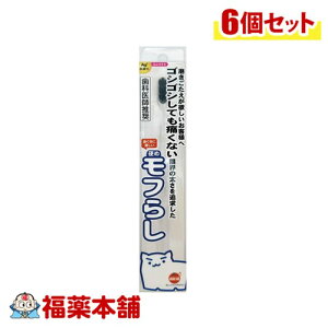 IWPA d t炵 RpNg ×6 [䂤pPbgE]