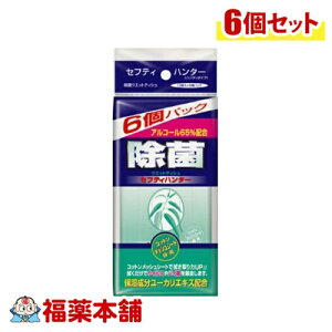 ۃEFbgeBbV Z[teBn^[ nfB^Cv (10×6)×6 [zցE]