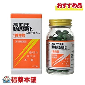 【第(2)類医薬品】マヤ養命錠 170錠 [宅配便・送料無料]