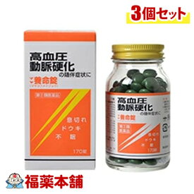 【第(2)類医薬品】マヤ養命錠 170錠×3個 [宅配便・送料無料]