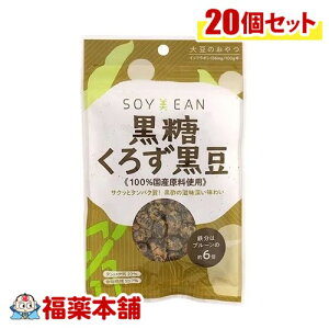 SOYEAN낸40g×20 [zցE] 哤 Aς yɐۂ