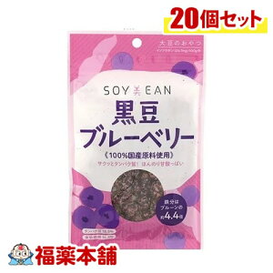 SOYEANu[x[40g×20 [zցE] 哤 Aς yɐۂ