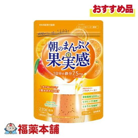 井藤漢方製薬 短期スタイル 朝のまんぷく果実感 230g入 [宅配便・送料無料] オレンジ&マンゴー風味 粉末 おきかえダイエット 食物繊維 ビタミン ミネラル