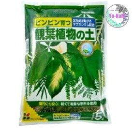 観葉植物の土　【花ごころ】元肥入り　観葉植物　室内育成　緑のある生活　ココナッツファイバー　パーライト　鹿沼土　赤玉土　ピンピン育つ　光合成を助けるマグネシウム配合　おいしい酵素　室内でも安心　軽くて清潔