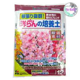 洋らんの培養土【花ごころ】洋らん　シンビジウム　デンドロビウム　根張り抜群！排水性に優れたブレンド　厳選素材　花のある生活　根の生育を助けるココナッツハスク配合　性質の異なる2種類の軽石で根腐れ防止　肥料持ちを良くするゼオライト配合　木質堆肥　洋らん全般