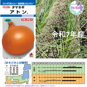 ʂ˂ce@10{@ډ\OK@10/27` ɑ Xp[g  \jbN  Ag Ӑ lIA[X Ӑ P ԋʃT_ c@܂˂@ؕc@Rei؉@