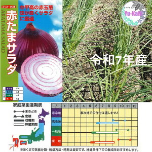 ʂ˂ce@10{@ډ\OK@10/27` ɑ Xp[g  \jbN  Ag Ӑ lIA[X Ӑ P ԋʃT_ c@܂˂@ؕc@Rei؉@