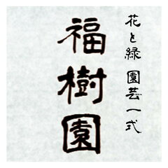 花と緑・園芸一式　福樹園