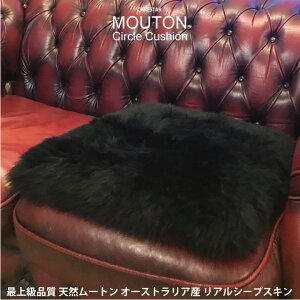  [g NbV XNGA^ p` 40cm×40cm є V[gNbV zc ubN VR ōN I[XgAY r{v t@Xi[t ȃobO 7cm̒у