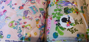 Ђ̃V[ẼJ[rB@Lgn@LeBO