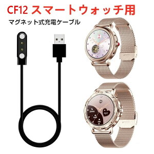 X}[gEHb` [dP[u CF12 }OlbgC USB[dP[u X}[guXbg USB[d 